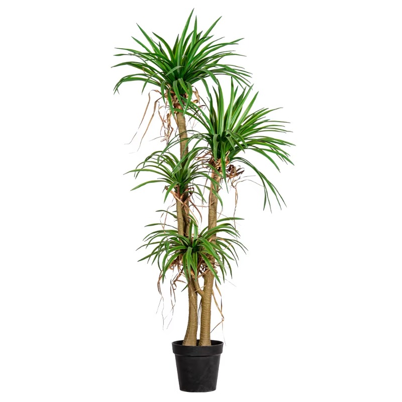 Dracaena Marginata - شجرة منزلية داخلية/خارجية مقلدة Dracaena Marginata