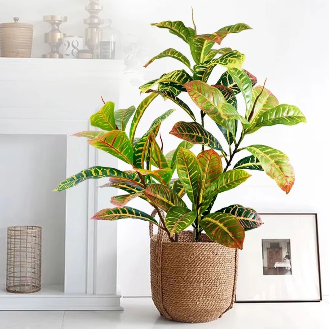 Dracaena Marginata - 21-120 سنتيمتر نبات اصطناعي شجرة بانيان