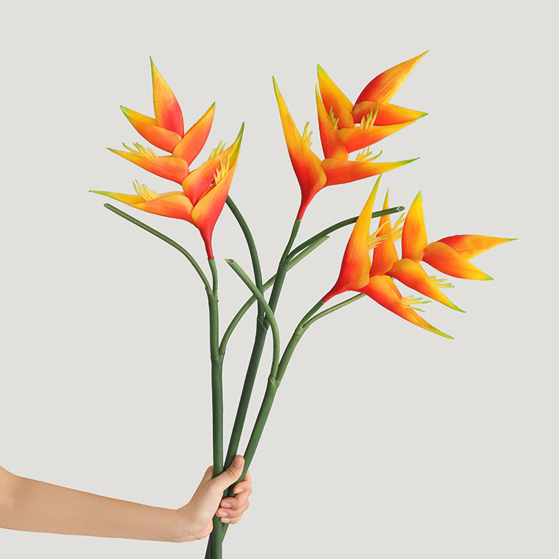 Bird Paradise Strelitzia - 1 قطعة 85 سنتيمتر Strelitzia Reginae