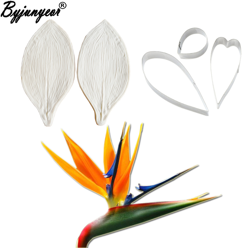 Bird Paradise Strelitzia - كبير gumhang Strelitzia الطيور من الجنة