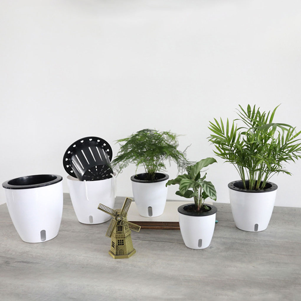 Aloe Vera Pot - أواني نباتات بيضاء محمولة وصديقة للبيئة