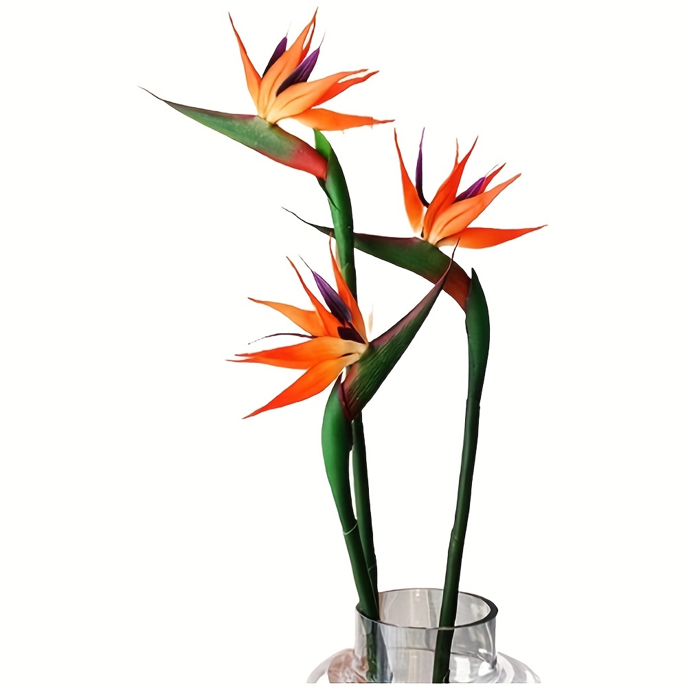 Bird Paradise Strelitzia - طائر صناعي من زهور الجنة ،