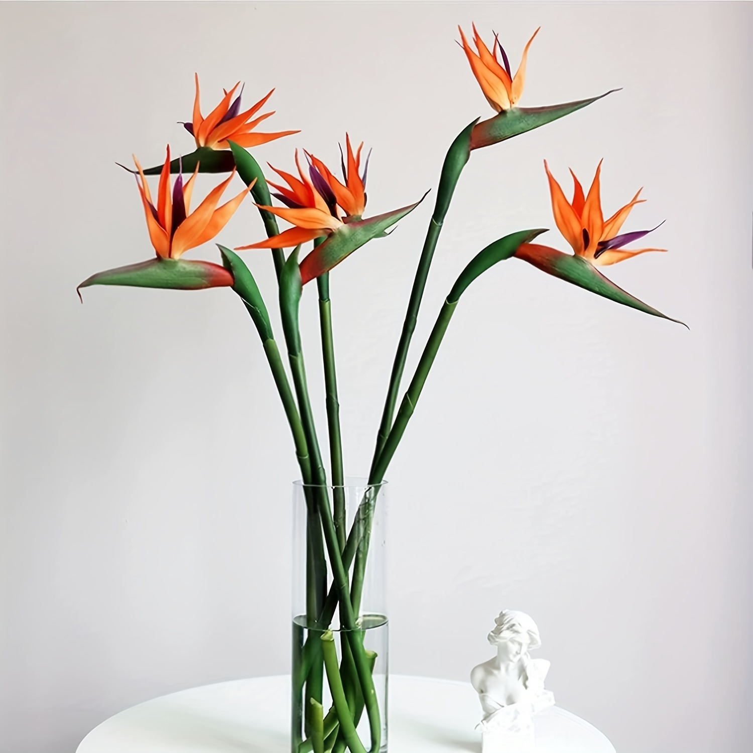 Bird Paradise Strelitzia - 3 قطع من زهور طائر الجنة