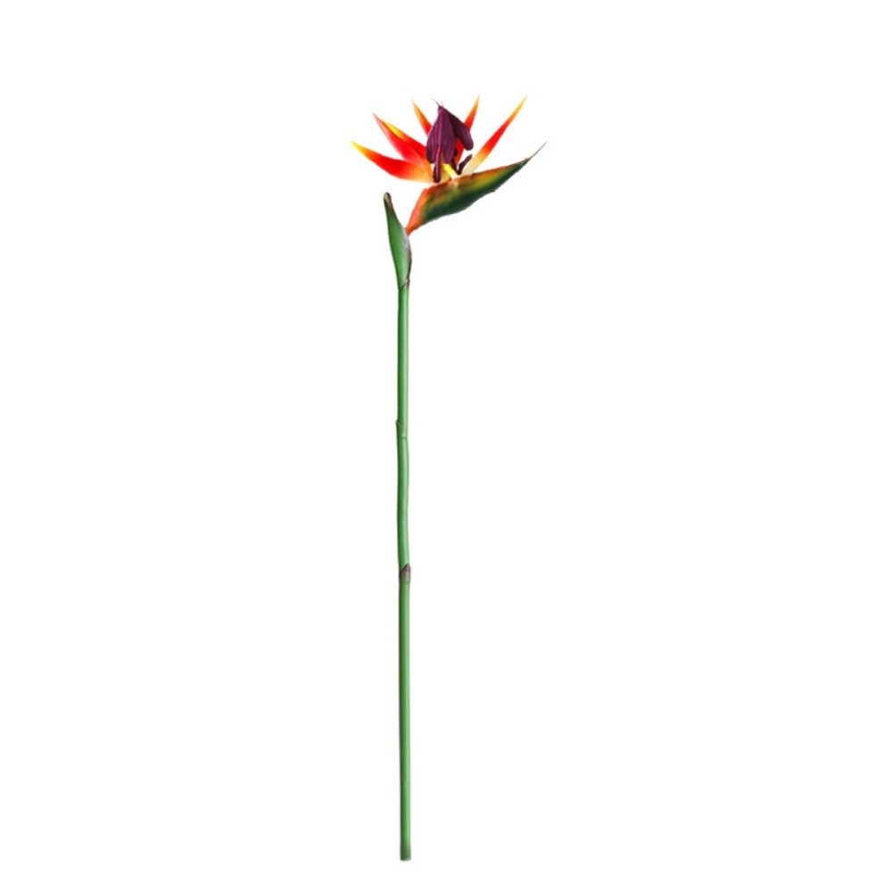 نباتات صناعية جديدة طويلة السا - مراجعة Bird Paradise Strelitzia وسعره