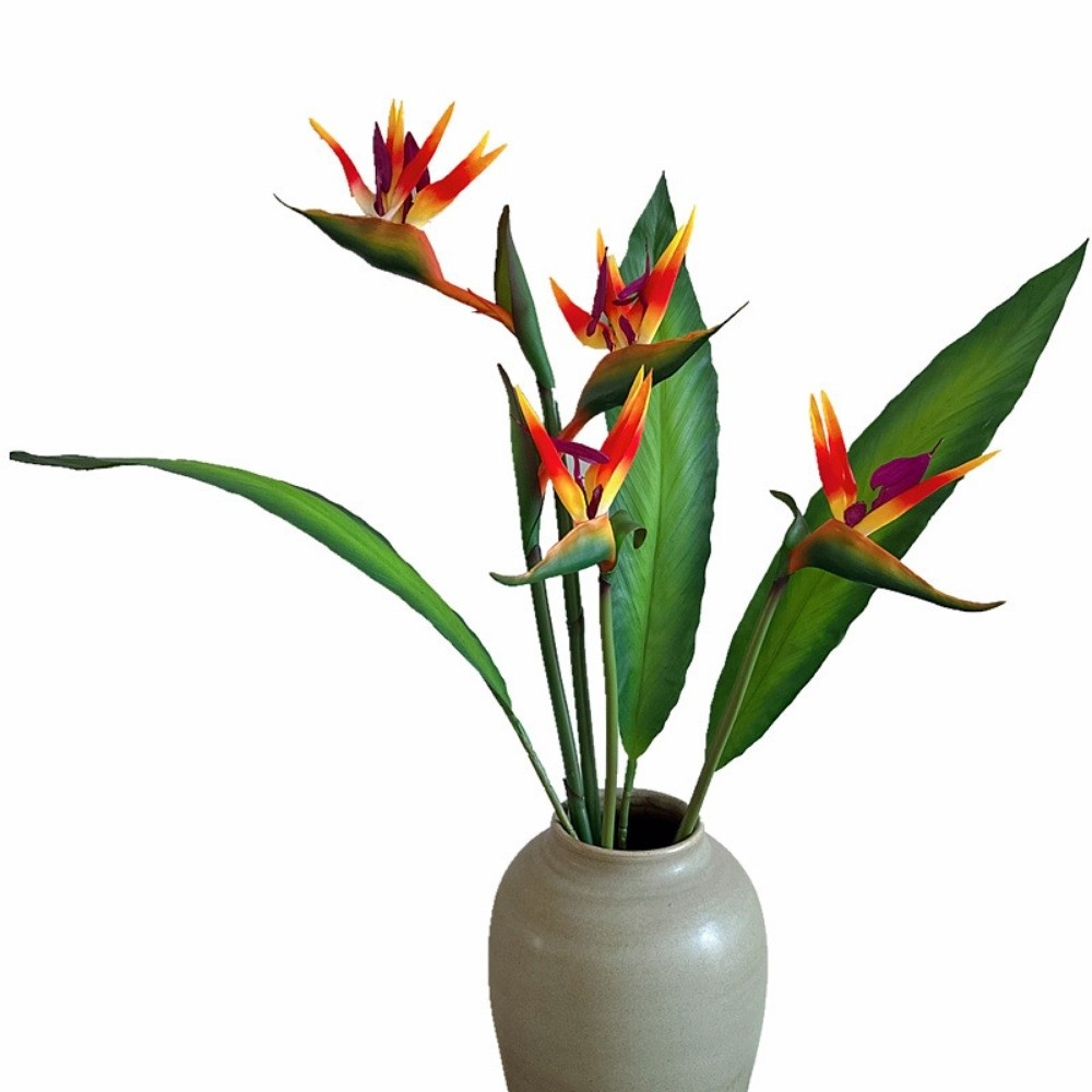 نباتات صناعية طويلة الساق تشبه - مراجعة Bird Paradise Strelitzia وسعره