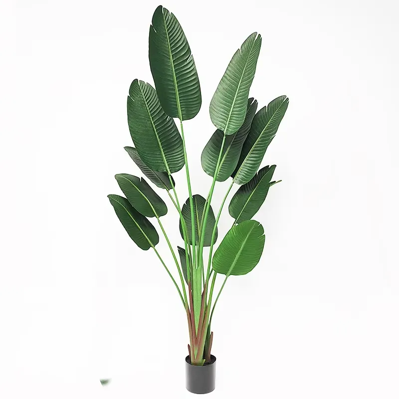 نباتات خضراء اصطناعية زخرفية Y - مراجعة Bird Paradise Strelitzia وسعره