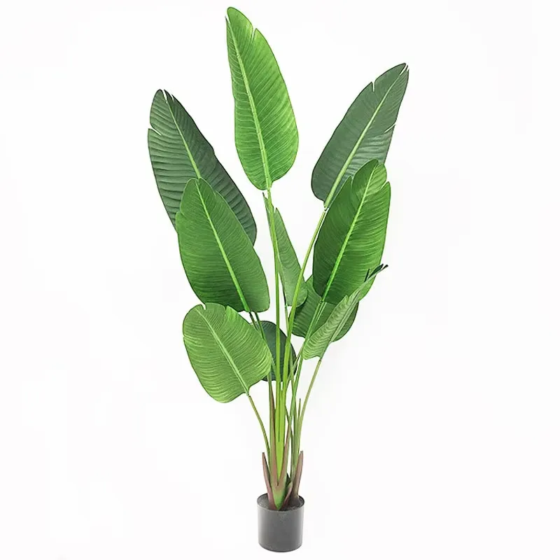 نباتات خضراء اصطناعية زخرفية Y - مراجعة Bird Paradise Strelitzia وسعره
