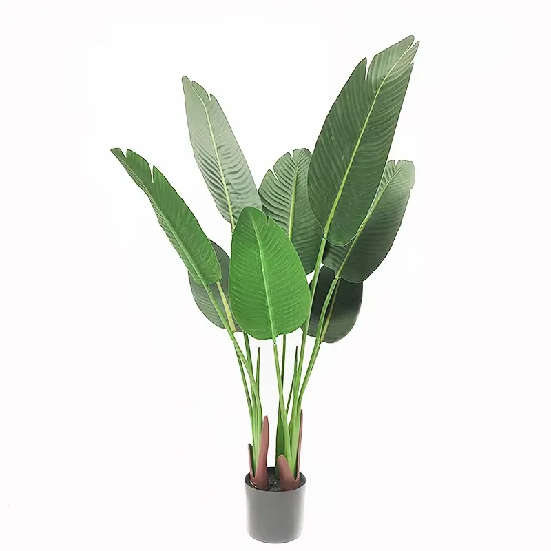 نباتات خضراء اصطناعية زخرفية Y - مراجعة Bird Paradise Strelitzia وسعره