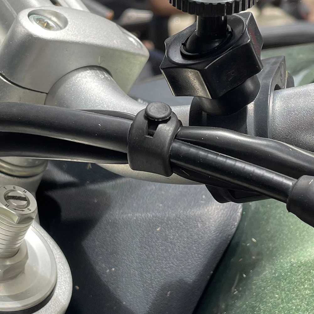 ل Ducati Monster Multistrada 1 - مراجعة Monstera Adansonii وسعره