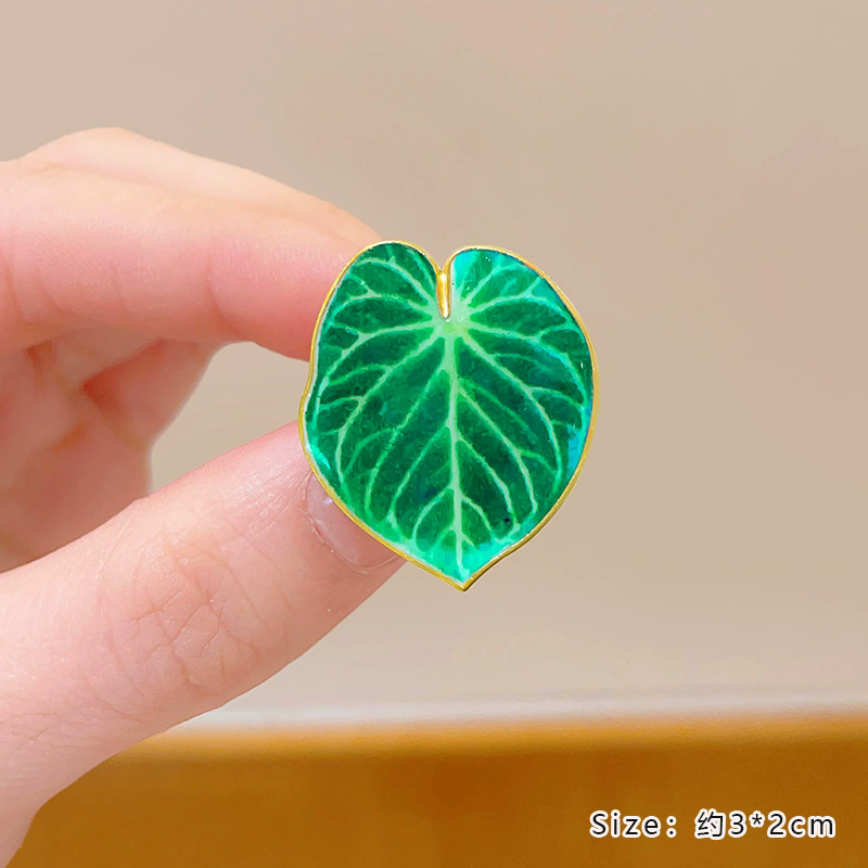 بوعاء النبات بروش Monstera الأ - مراجعة Aloe Vera Pot وسعره