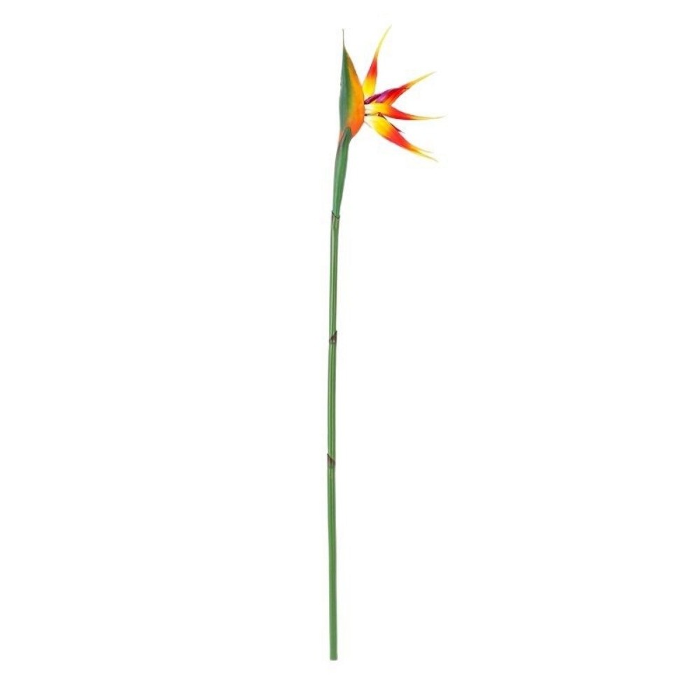 زهور طائر الجنة الاصطناعية الج - مراجعة Bird Paradise Strelitzia وسعره