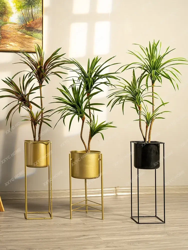 شجرة دراسينا مارجيناتا اصطناعي - مراجعة Dracaena Marginata وسعره