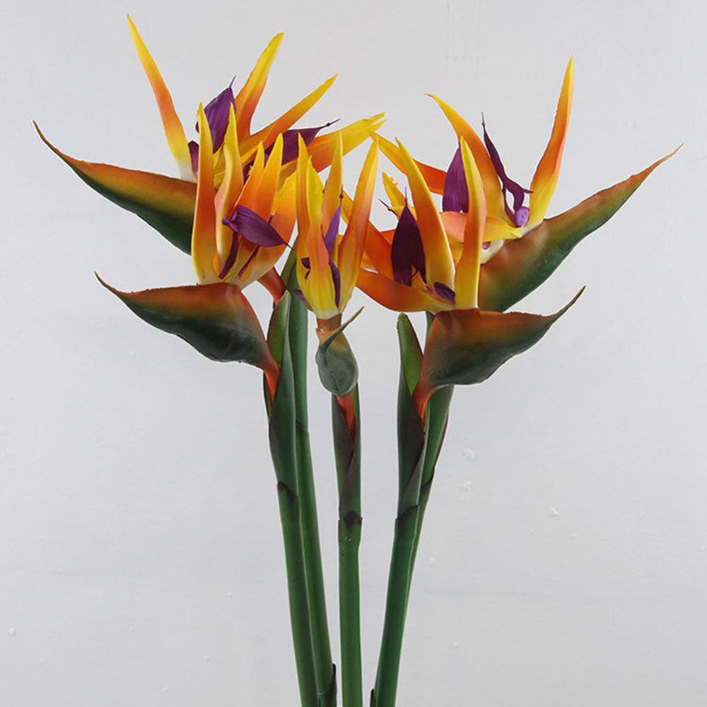 1 قطعة 80 سنتيمتر زهرة الطيور  - مراجعة Bird Paradise Strelitzia وسعره