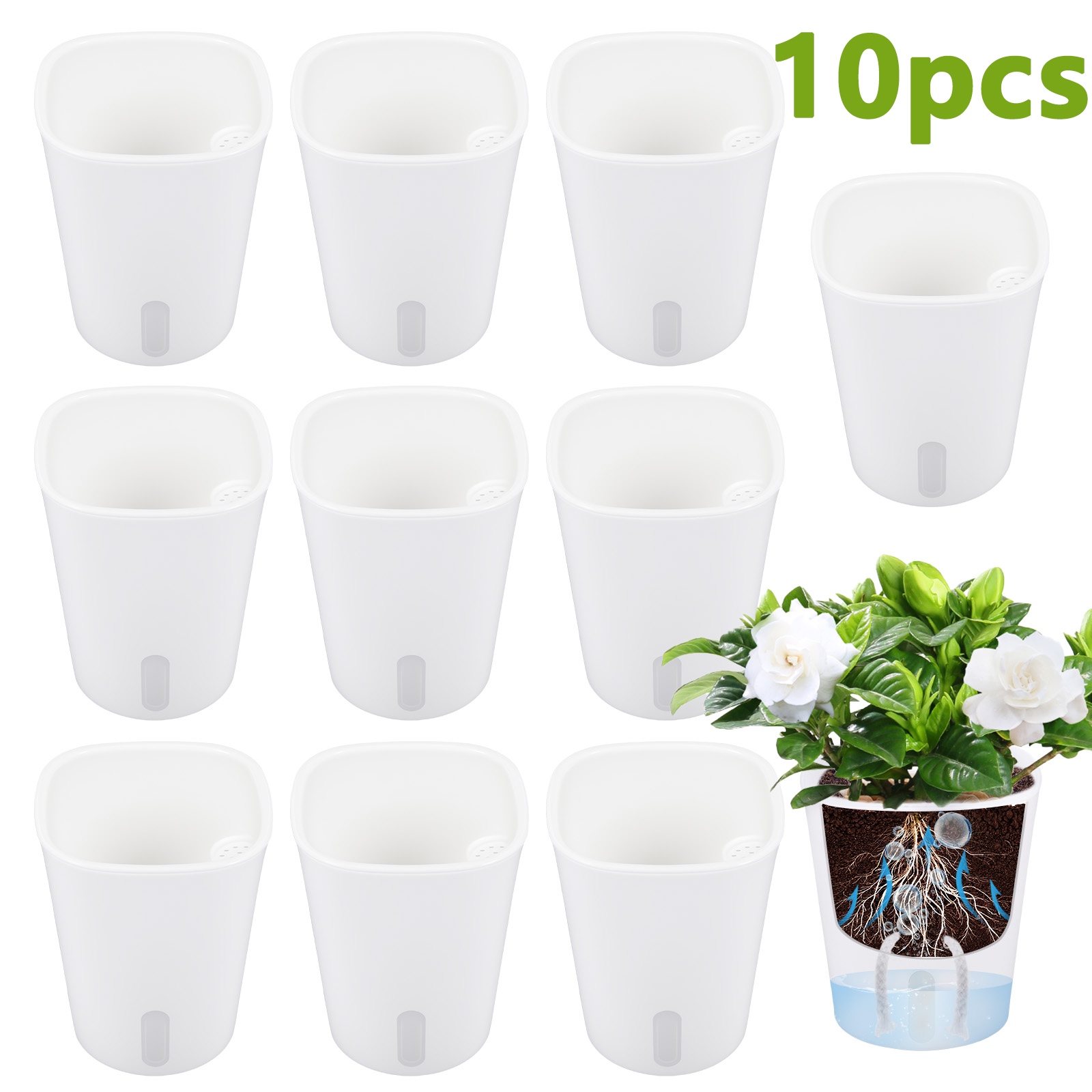 10 قطع من أواني الزهور البلاست - مراجعة Aloe Vera Pot وسعره