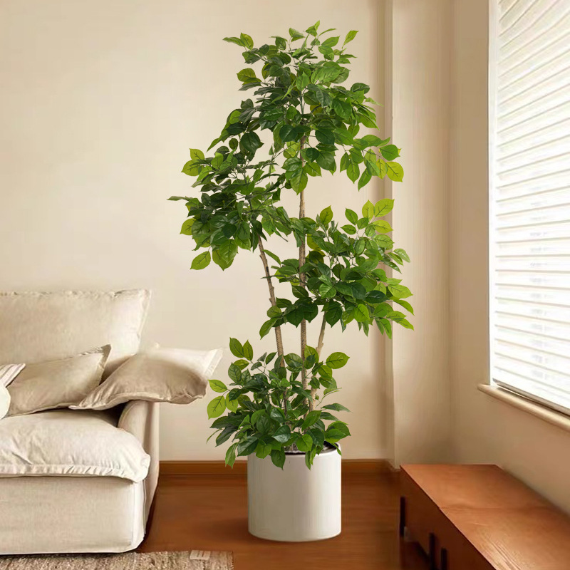 2-78in نباتات وهمية كبيرة الاص - مراجعة Ficus Lyrata Tree وسعره