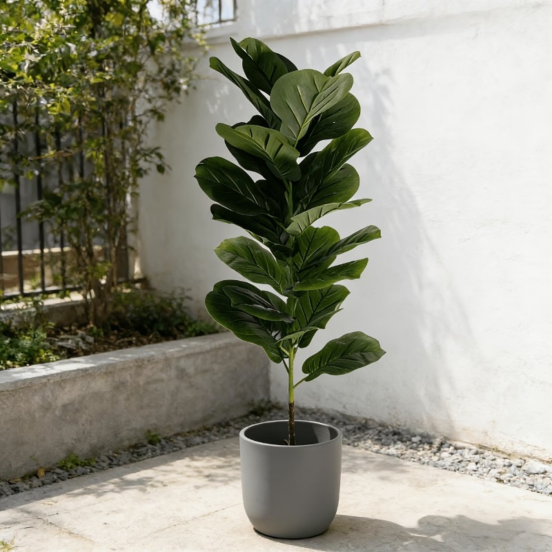 شجرة تين ليراتا اصطناعية بطول  - مراجعة Ficus Lyrata Tree وسعره