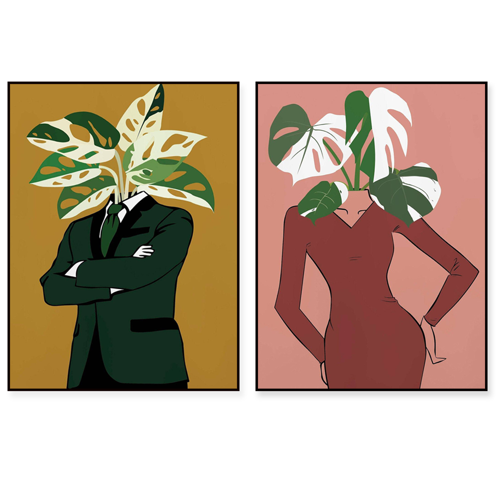 Monstera Albo في ملصق فستان بو - مراجعة Monstera Adansonii وسعره