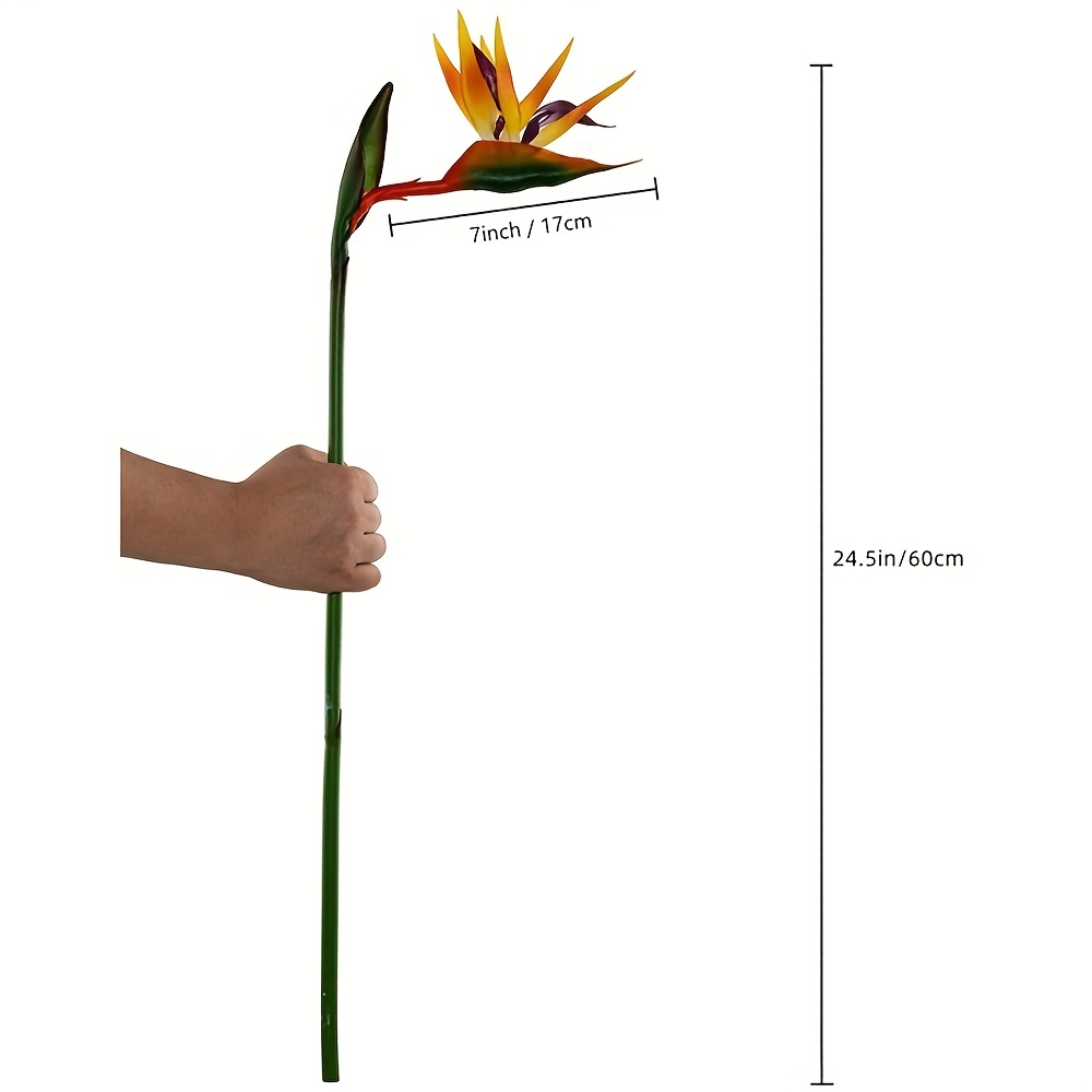 طائر صناعي من زهور الجنة ، ستر - مراجعة Bird Paradise Strelitzia وسعره