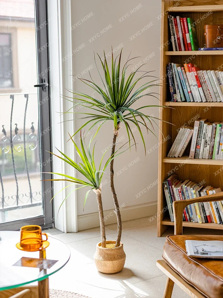 ضوء فاخر محاكاة النباتات الخضر - مراجعة Dracaena Marginata وسعره
