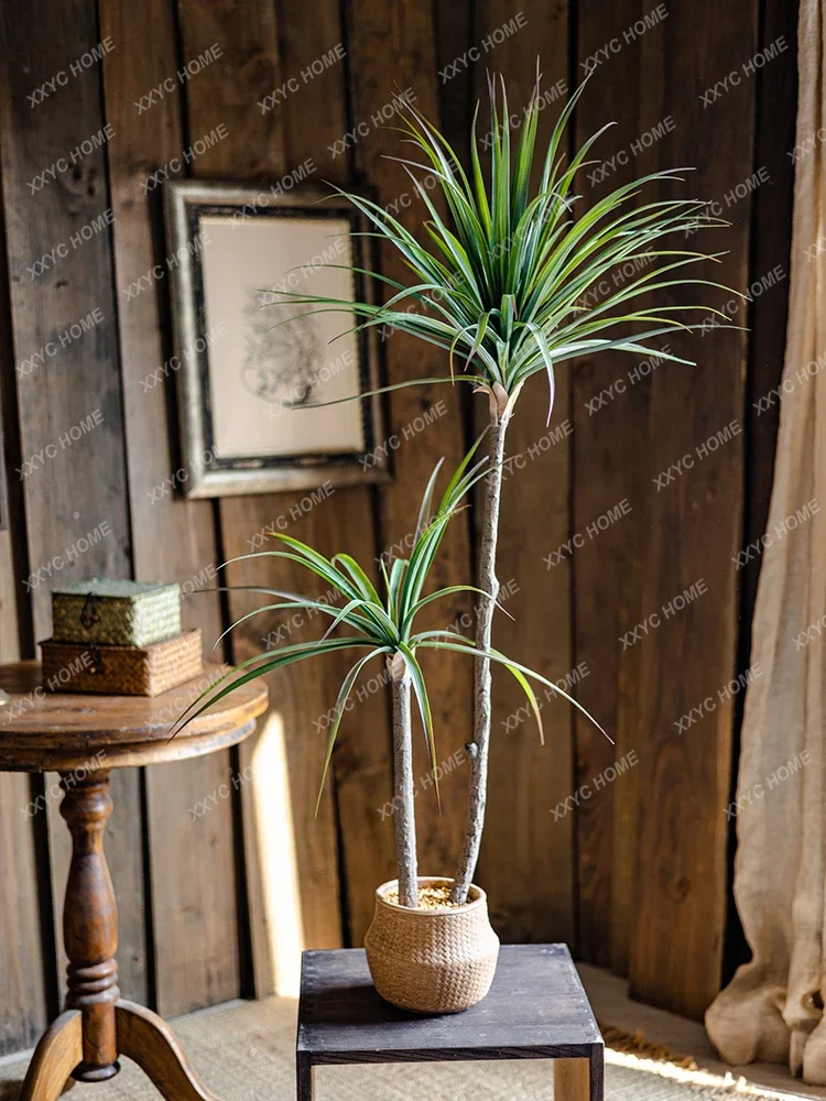 ضوء فاخر محاكاة النباتات الخضر - مراجعة Dracaena Marginata وسعره