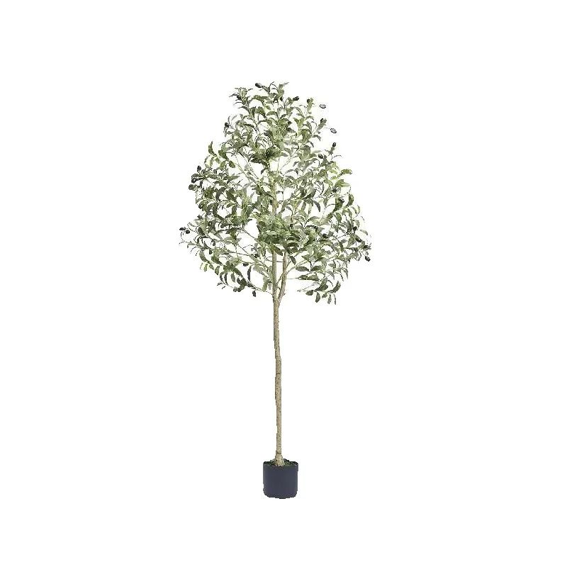شجرة زيتون صناعية من SucceBuy  - مراجعة Ficus Lyrata Tree وسعره