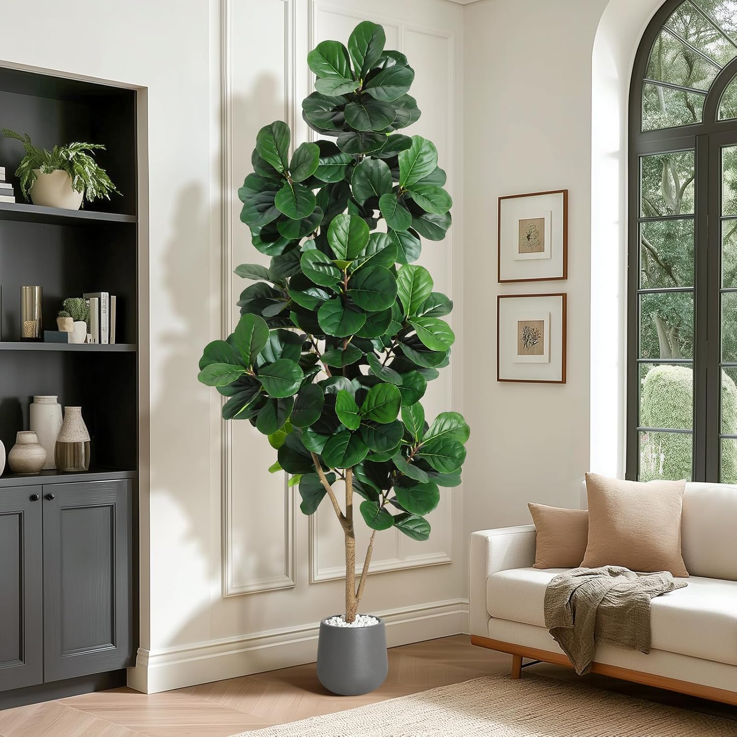 4FT/5FT/6FT/7FT كمان ورقة شجرة - مراجعة Ficus Lyrata Tree وسعره