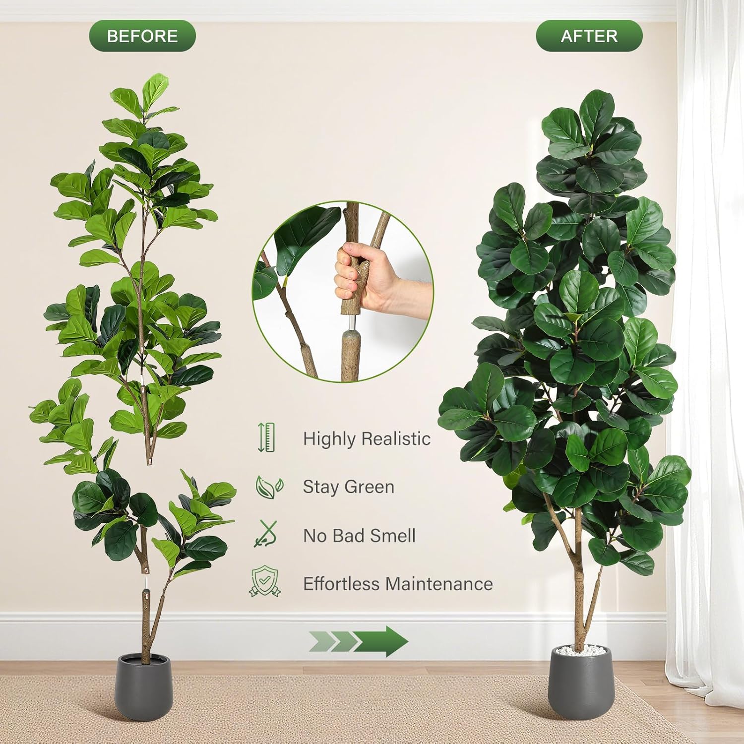 4FT/5FT/6FT/7FT كمان ورقة شجرة - مراجعة Ficus Lyrata Tree وسعره