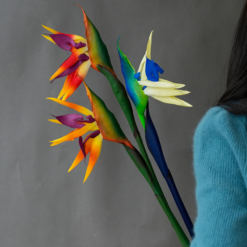 زهرة طائر الجنة الاصطناعية، نب - مراجعة Bird Paradise Strelitzia وسعره