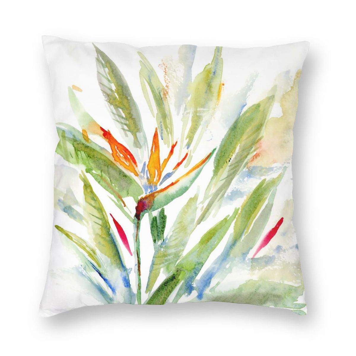 الطيور الجنة Strelitzia ساحة ا - مراجعة Bird Paradise Strelitzia وسعره