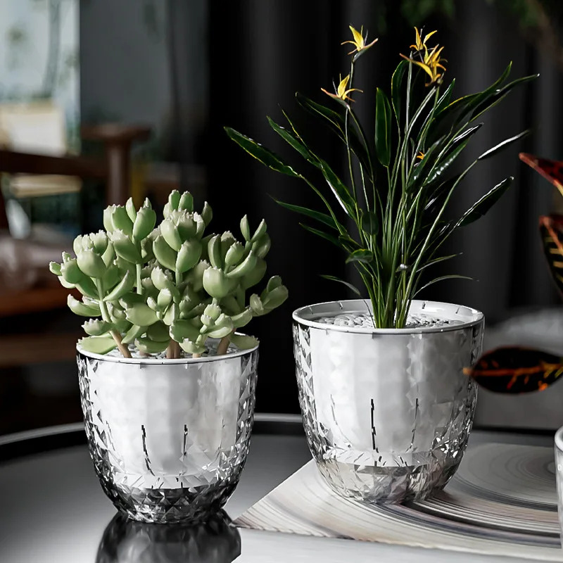 3 قطع من وعاء السقي الذاتي الش - مراجعة Aloe Vera Pot وسعره