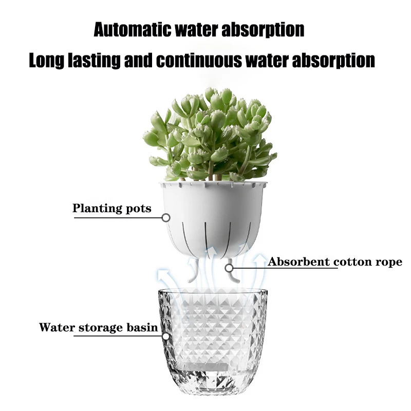 3 قطع من وعاء السقي الذاتي الش - مراجعة Aloe Vera Pot وسعره