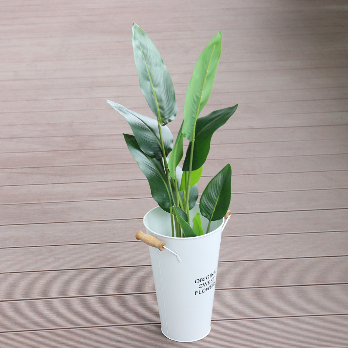 مزهرية زهور من الحديد المطاوع، - مراجعة Aloe Vera Pot وسعره